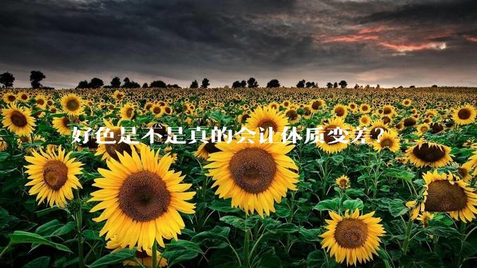 好色是不是真的会让体质变差？