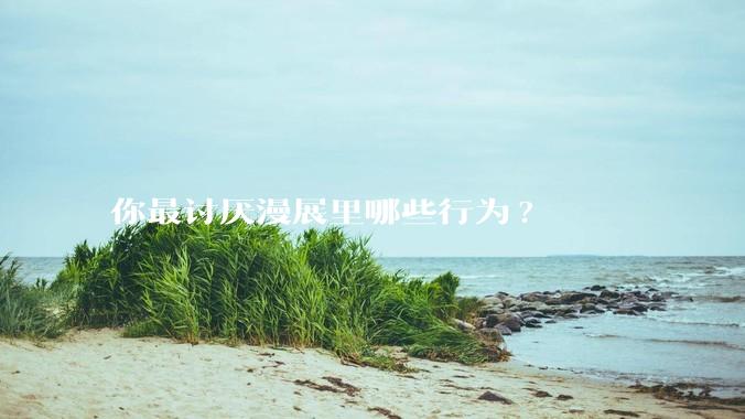 你最讨厌漫展里哪些行为?