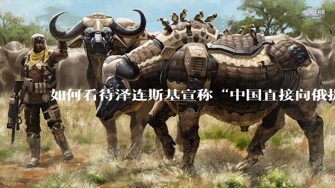 如何看待泽连斯基宣称“中国直接向俄提供***援”?