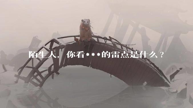 陌生人，你看***的雷点是什么?